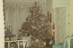 family_1968_008