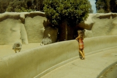 family_1970_010h