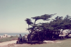 family_1971_004n