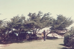family_1971_004o