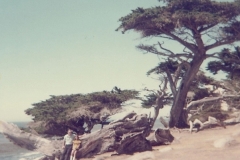 family_1971_004p