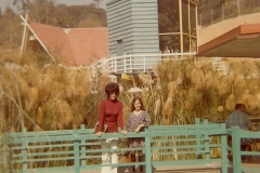 family_1972_007