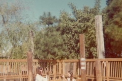 family_1973_002d