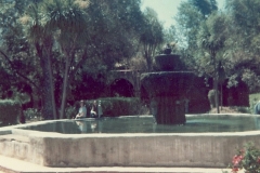 family_1973_003c