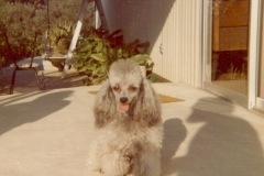 family_1973_008c
