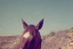 family_1975_008