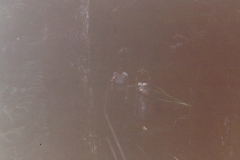 family_1977_007d