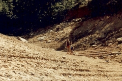 1984-007