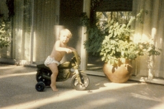 1986-013