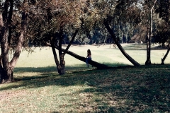 family_1986_024