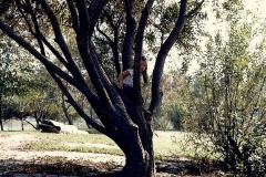 family_1986_029