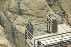 family_1995_000